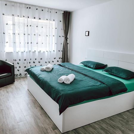 Cosy Apartment Făgăraş المظهر الخارجي الصورة